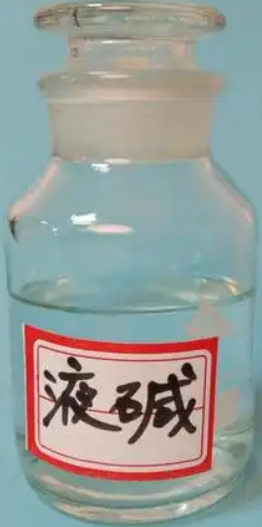 1745383541387.jpg