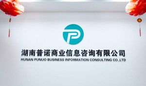 湖南普諾商業信息咨詢與企業管理的專業價值